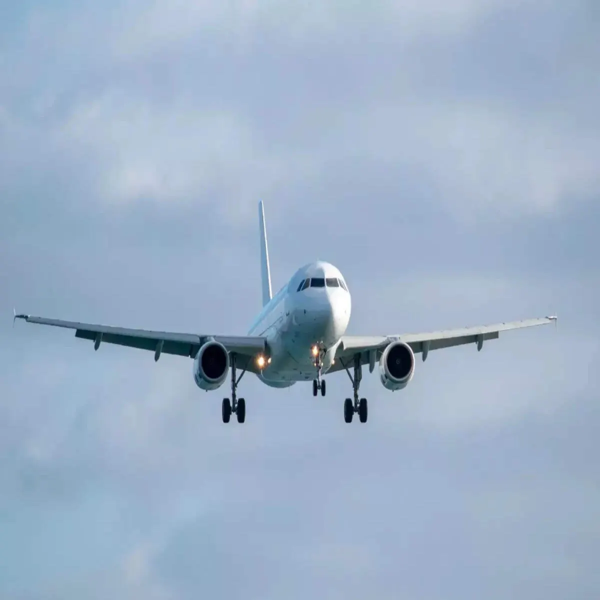 Airlines Increase Flights as Summer Travel Demand Surges Across the United States