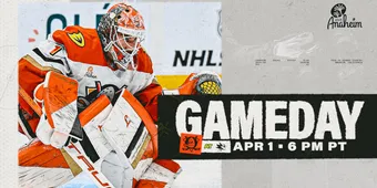 Streaming Platforms Compete for Viewers With New Series Releases