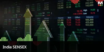 Knicks Outlast Hornets in Physical Eastern Conference Showdown