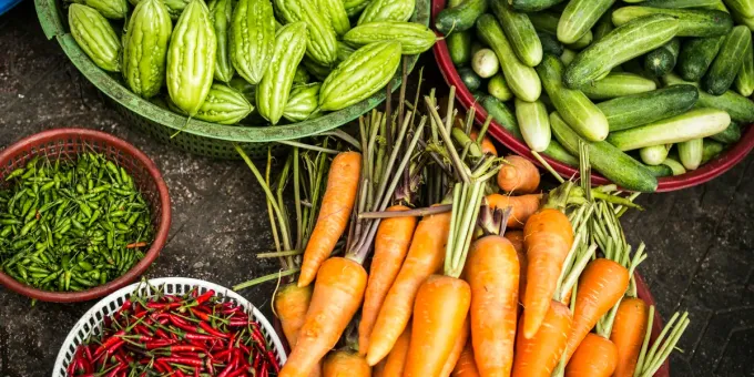 Urban Community Gardens Grow as Cities Promote Sustainable Living