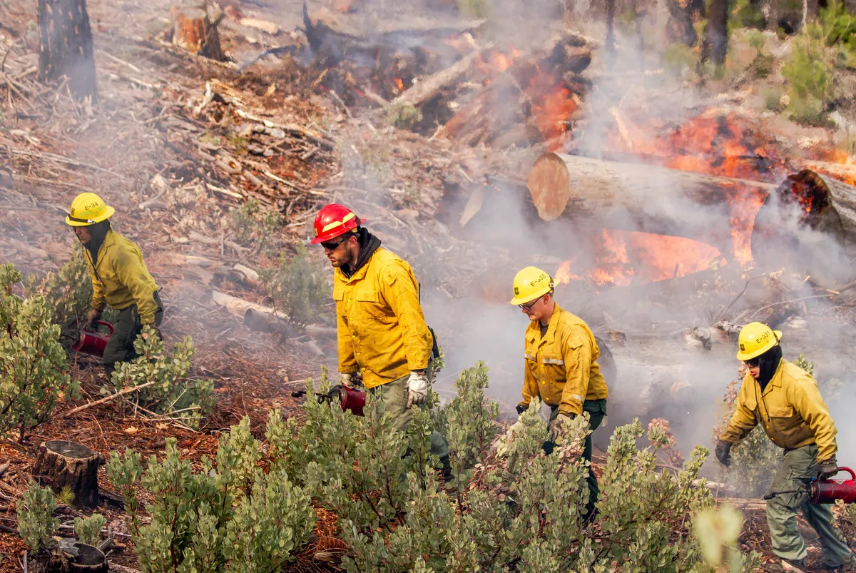 U.S. Forest Service Expands Wildfire Preparedness as Early Fire Season Raises Concerns